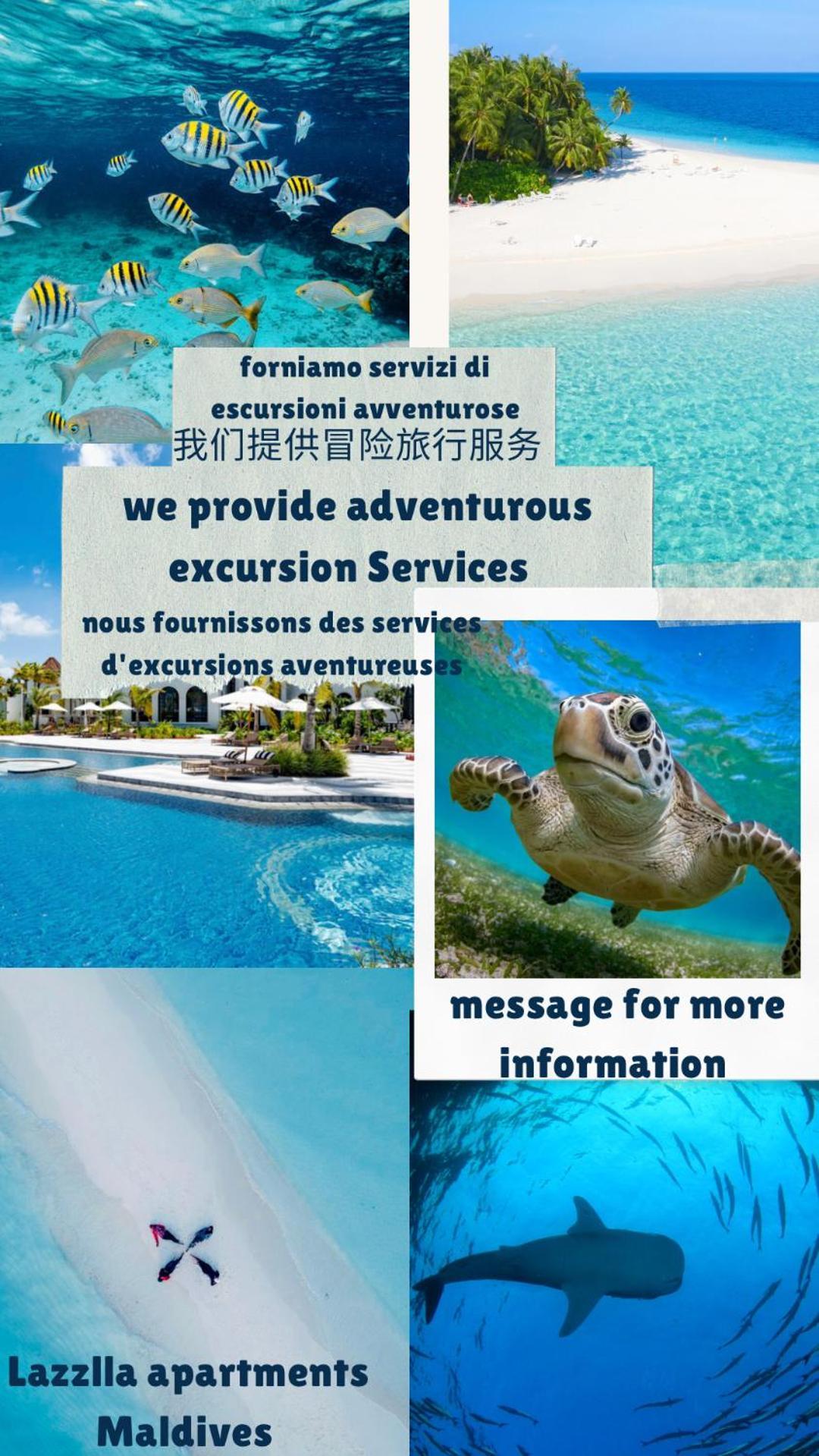 Lazzlla Beachside Apartament *